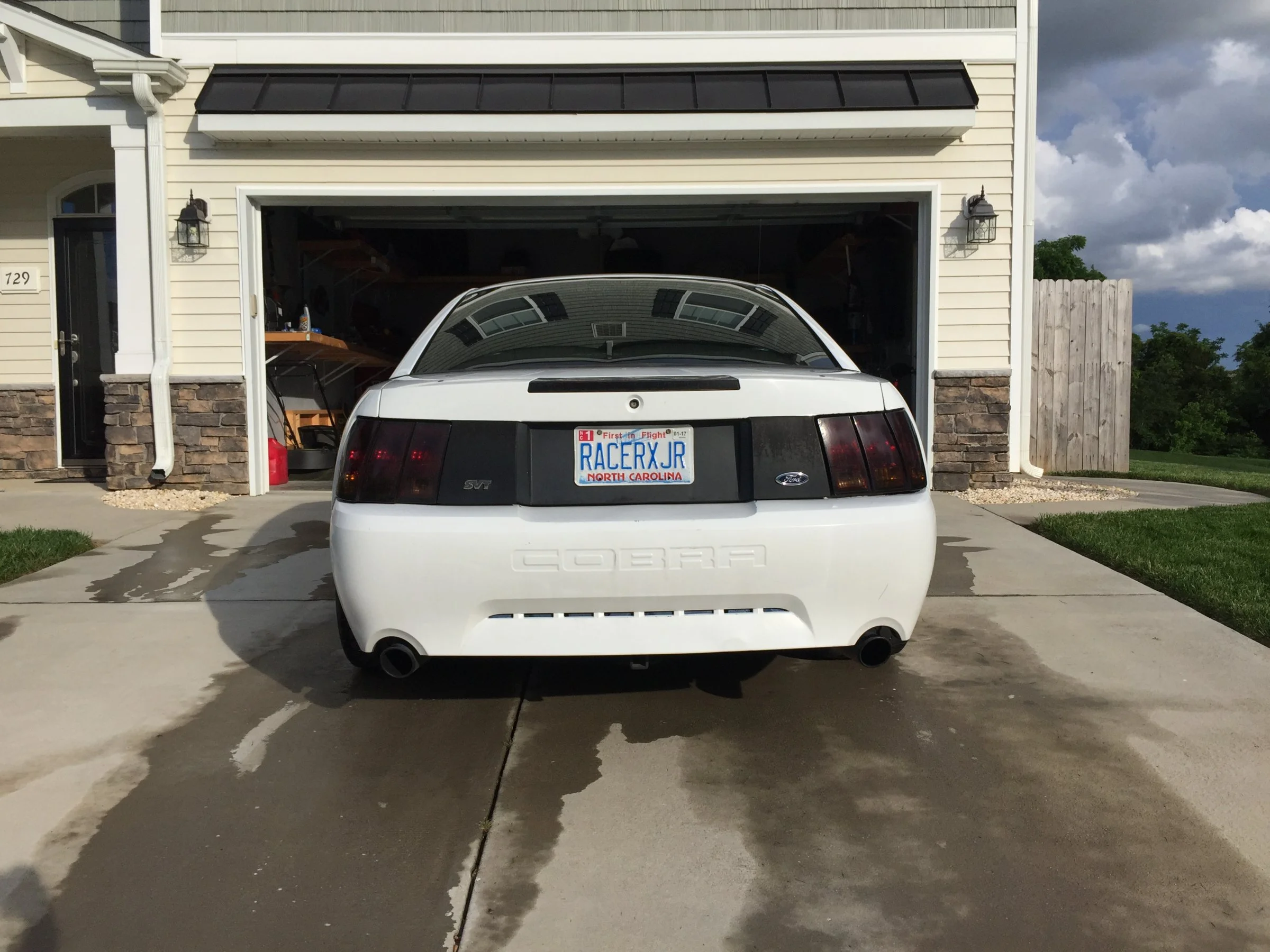 IMG_2502.webp