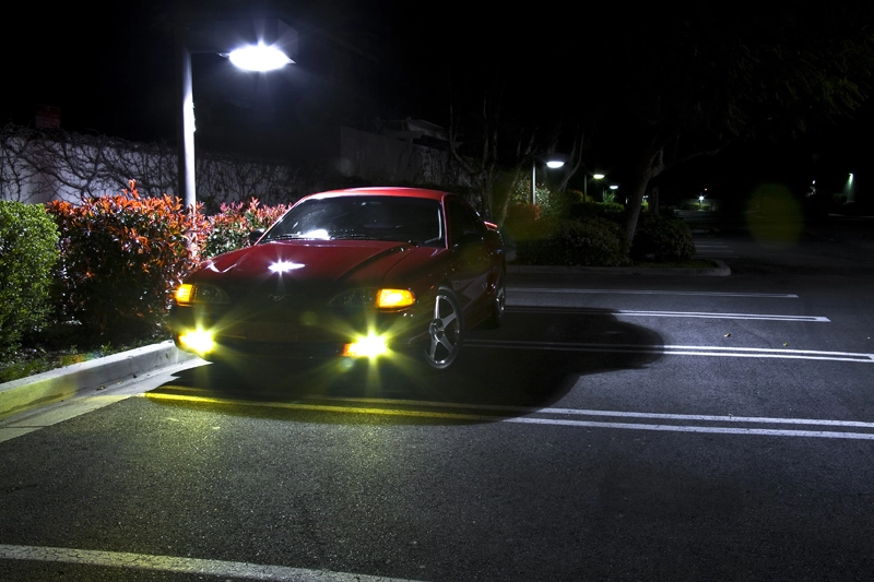 IMG_2586Small.webp
