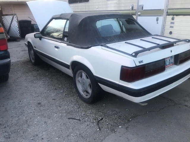 628009