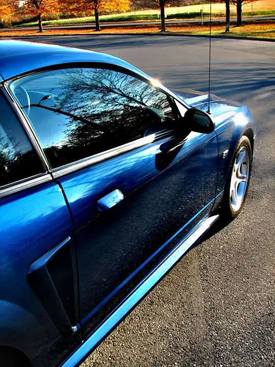 IMG_2654.webp
