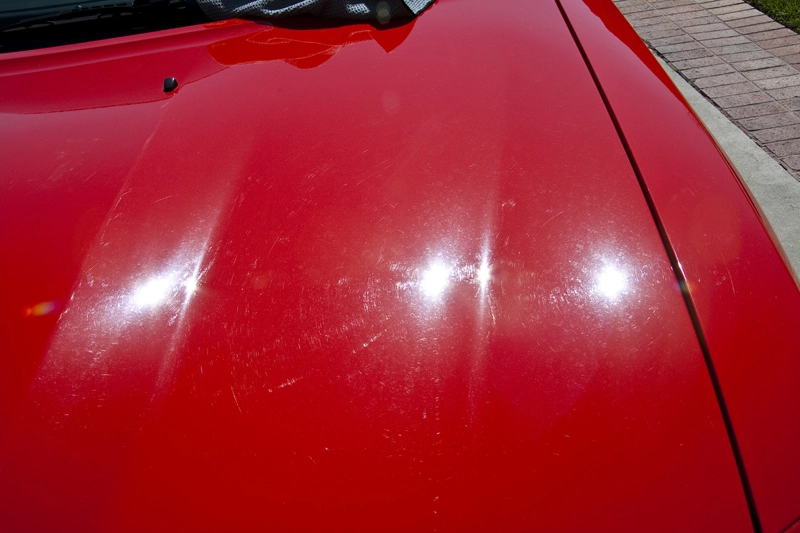 IMG_2908Small.webp