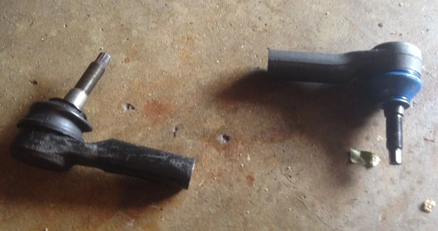 IMG_3052edit.webp