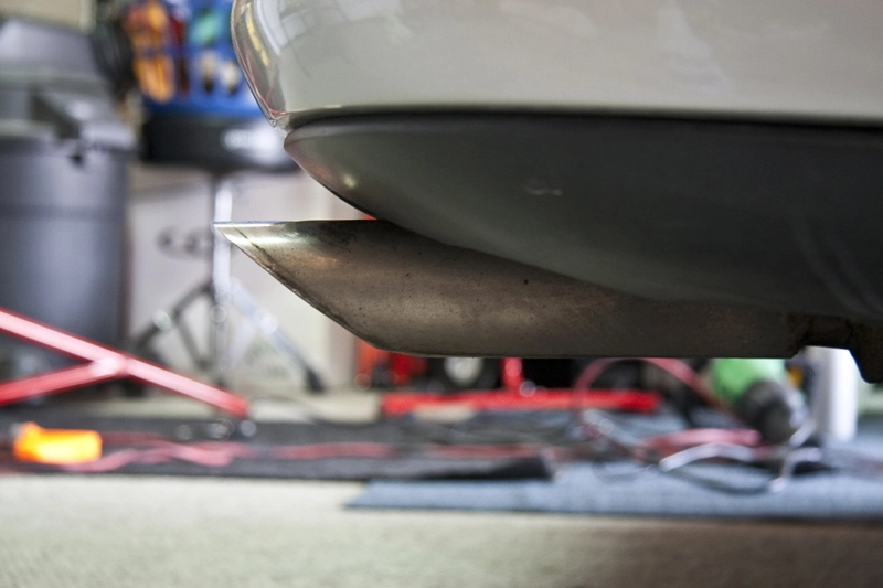 IMG_3095Small.webp