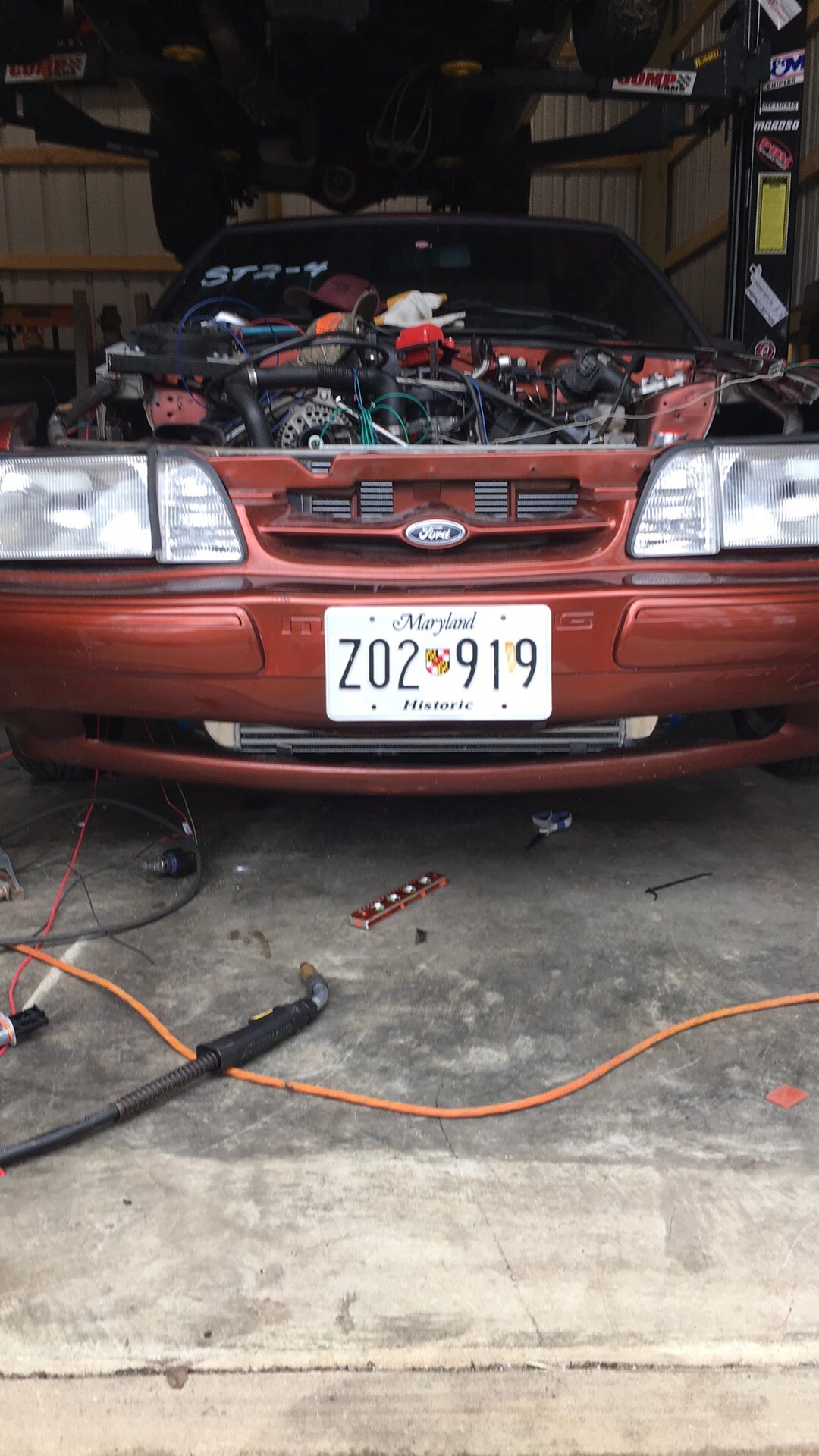 IMG_3120.webp