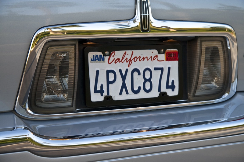 IMG_3123Small.webp