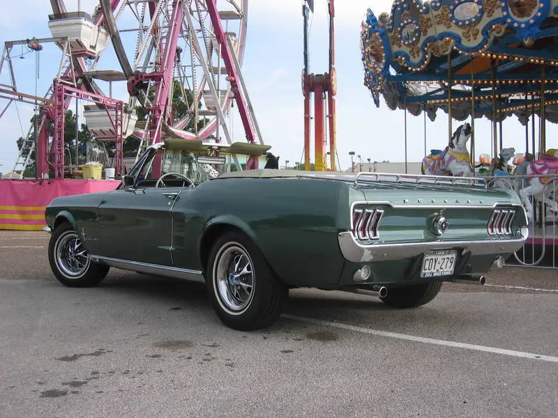IMG_3305.webp
