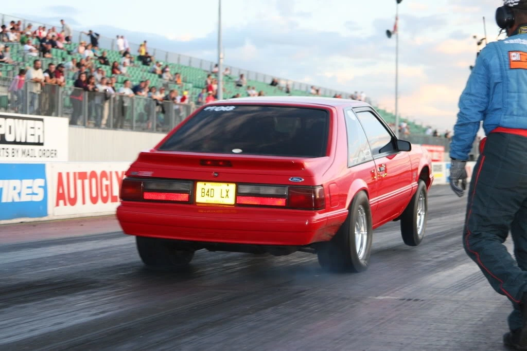 IMG_3337.webp