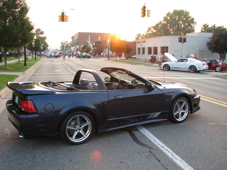 IMG_3350.webp