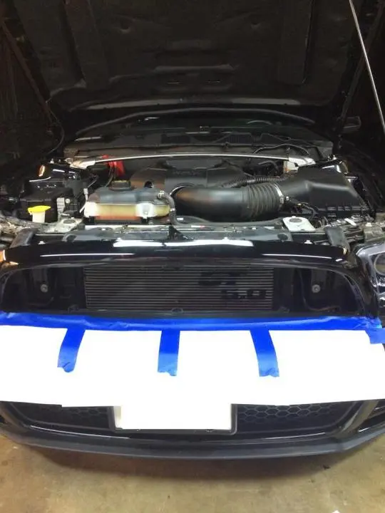IMG_3392_zpslw6q3nlr.webp
