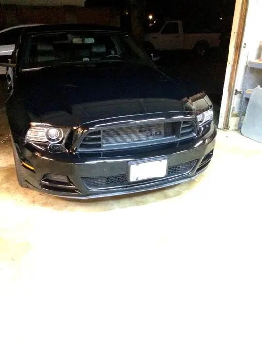 IMG_3396_zpsr5gaqpxl.webp