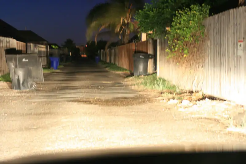 IMG_3604sized.webp
