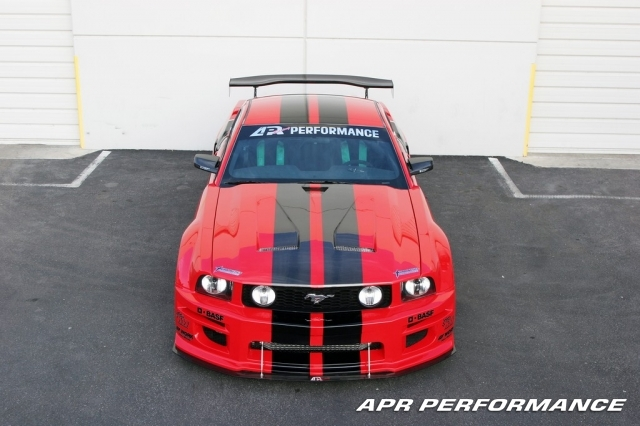 IMG_3803_copy.webp