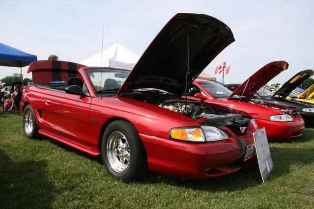 IMG_3927.webp