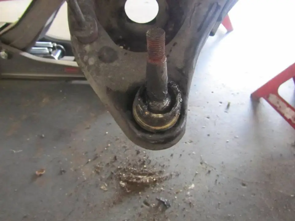 IMG_4024_zps3ce4d65b.webp