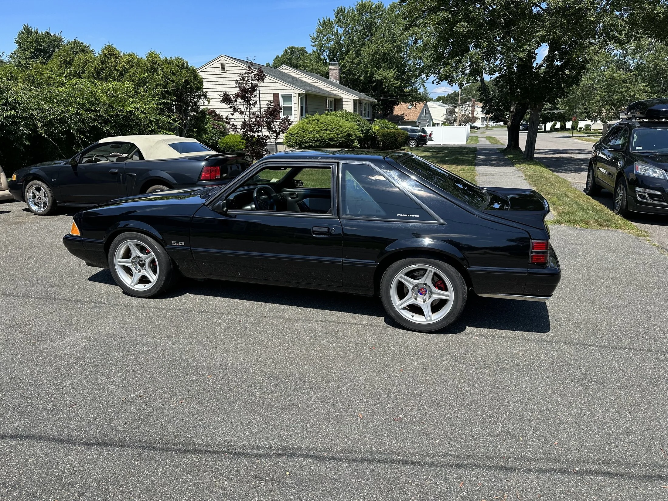 IMG_4224.jpeg