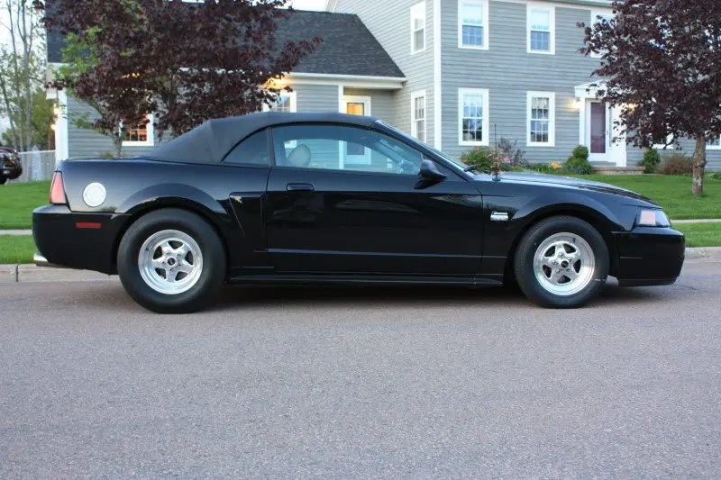 IMG_4343.webp