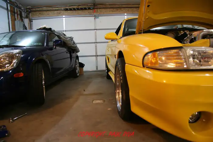 IMG_4632copyright.webp
