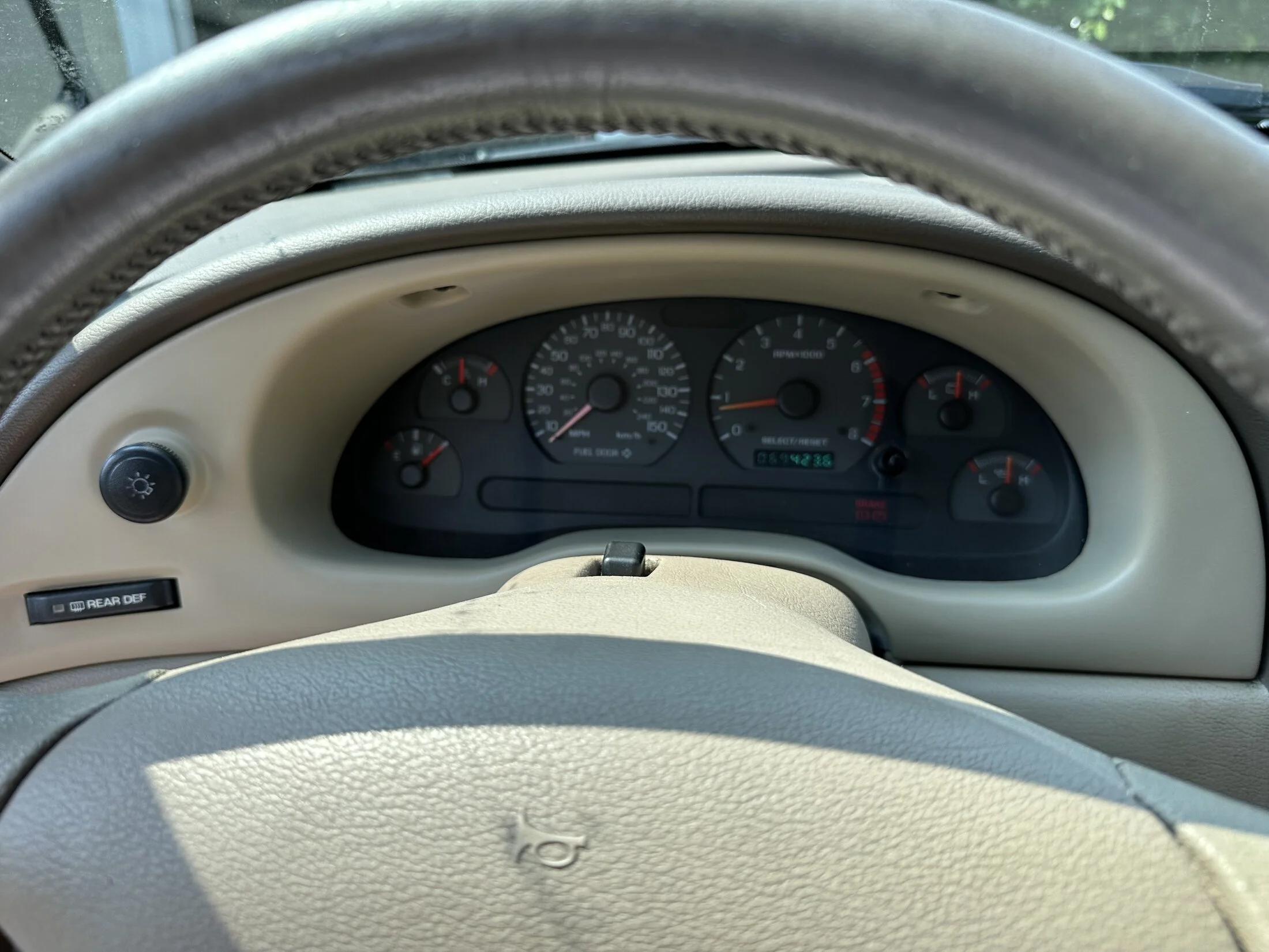 IMG_4994.jpeg