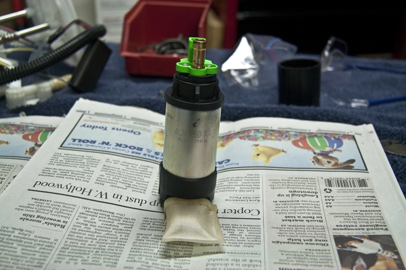 IMG_5047Small.webp