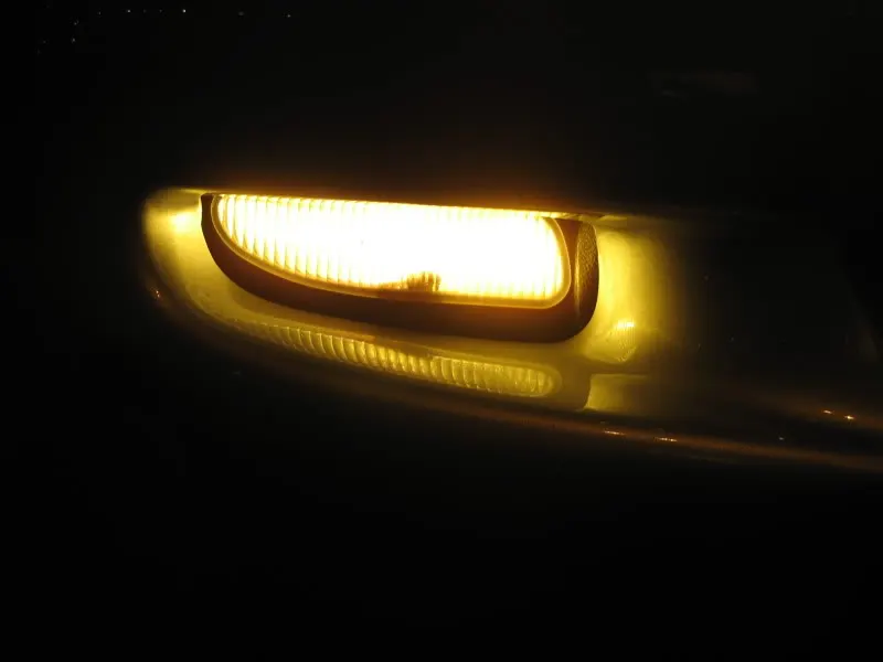 IMG_5237.webp