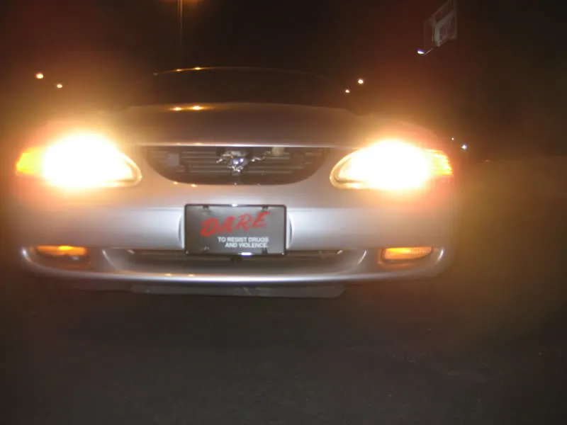 IMG_5242.webp