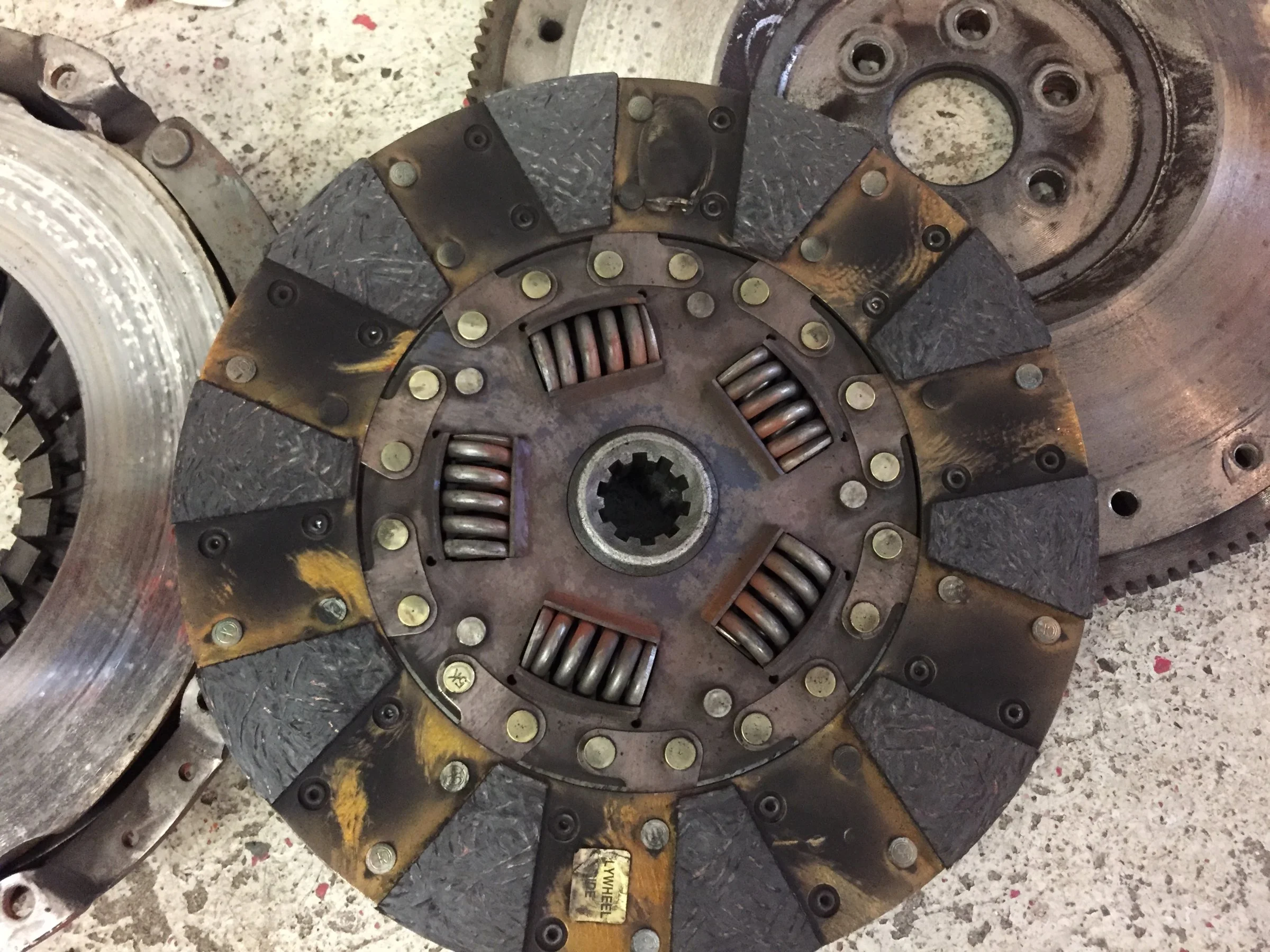 IMG_5617.webp