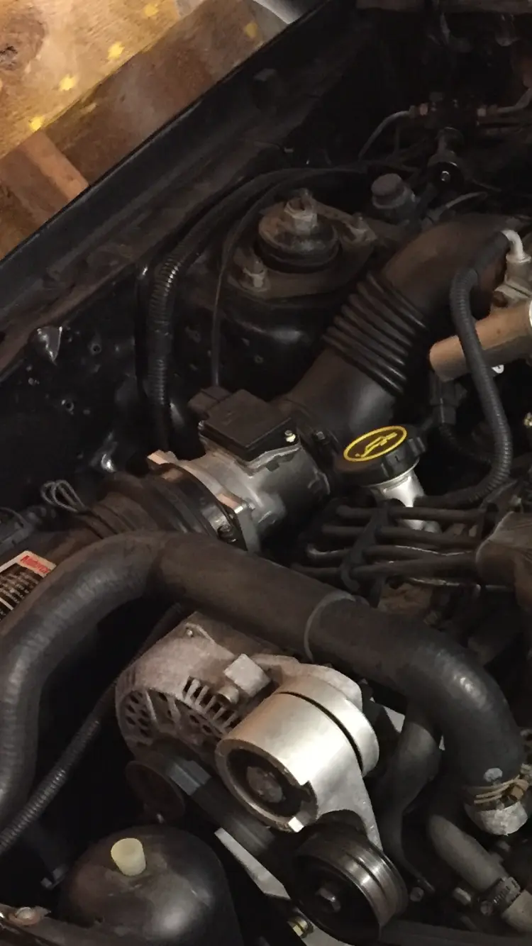 IMG_5846.webp