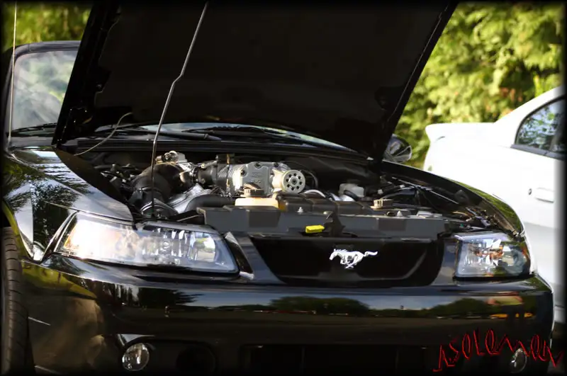 IMG_58851.webp