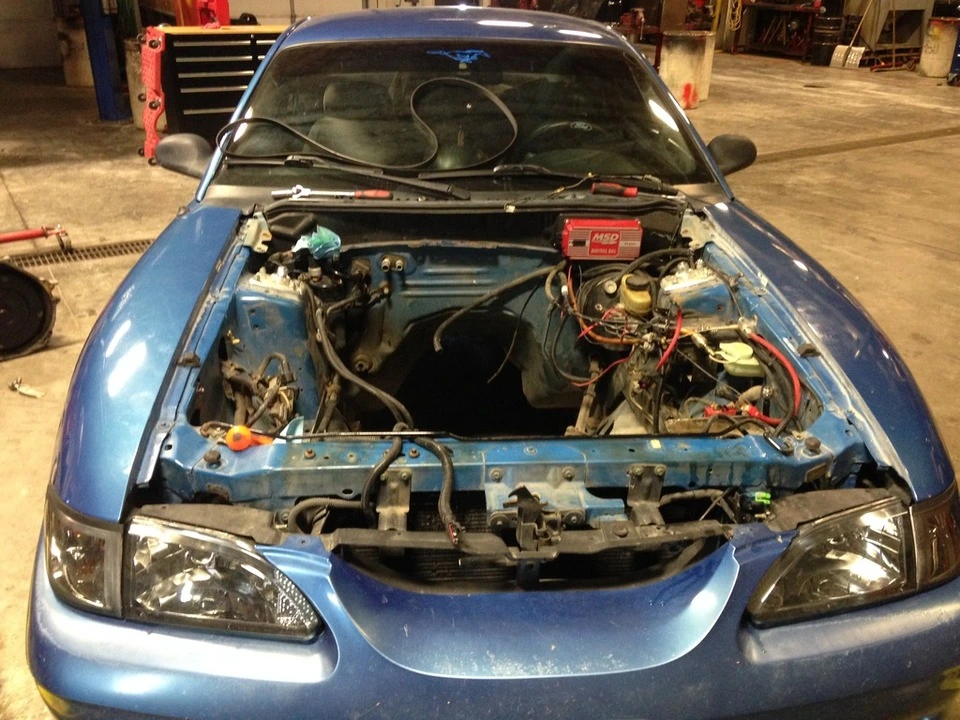 IMG_6218_zps3q589tpz.webp