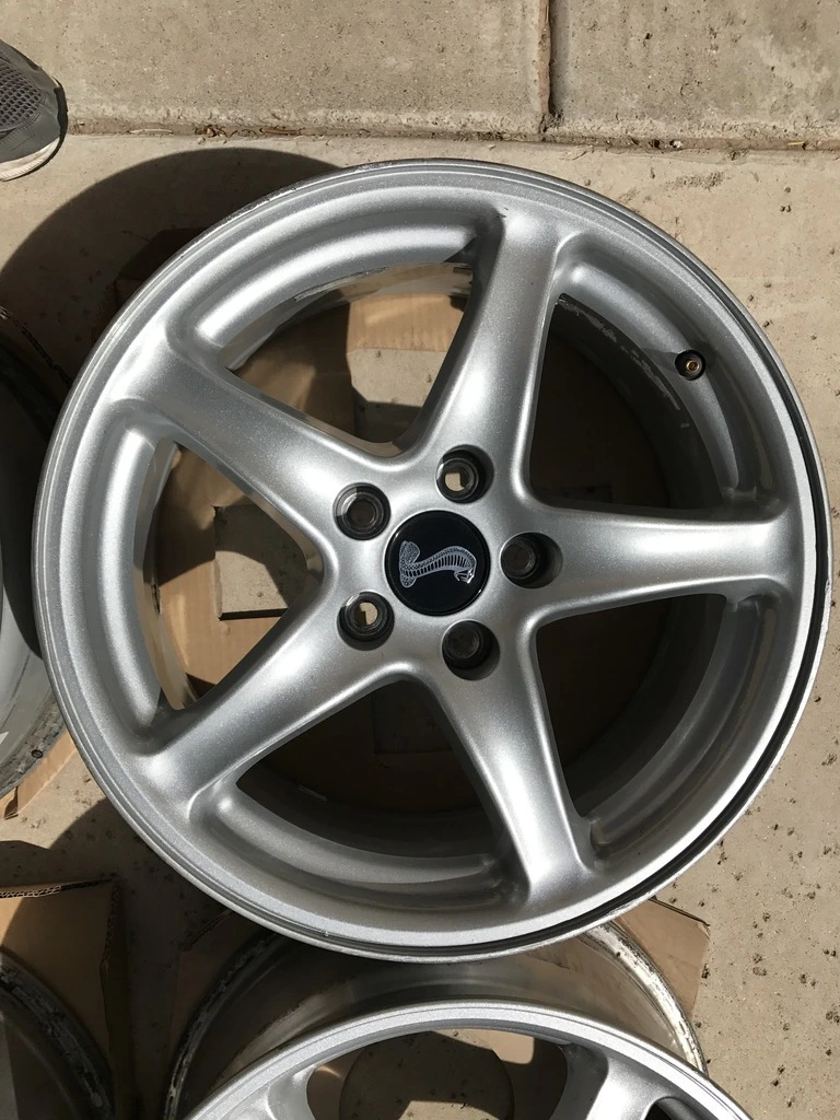 IMG_7041_zpsniyvit5w.webp