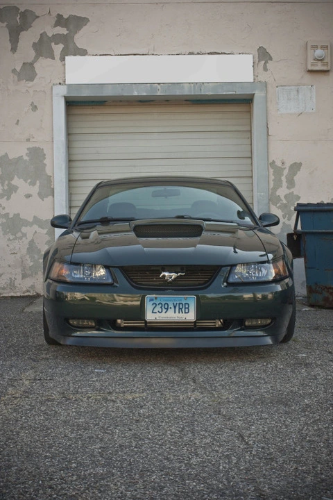 IMG_7082.webp