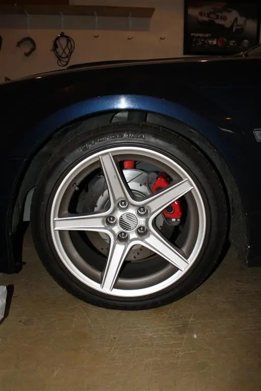 IMG_7327 (Medium).webp