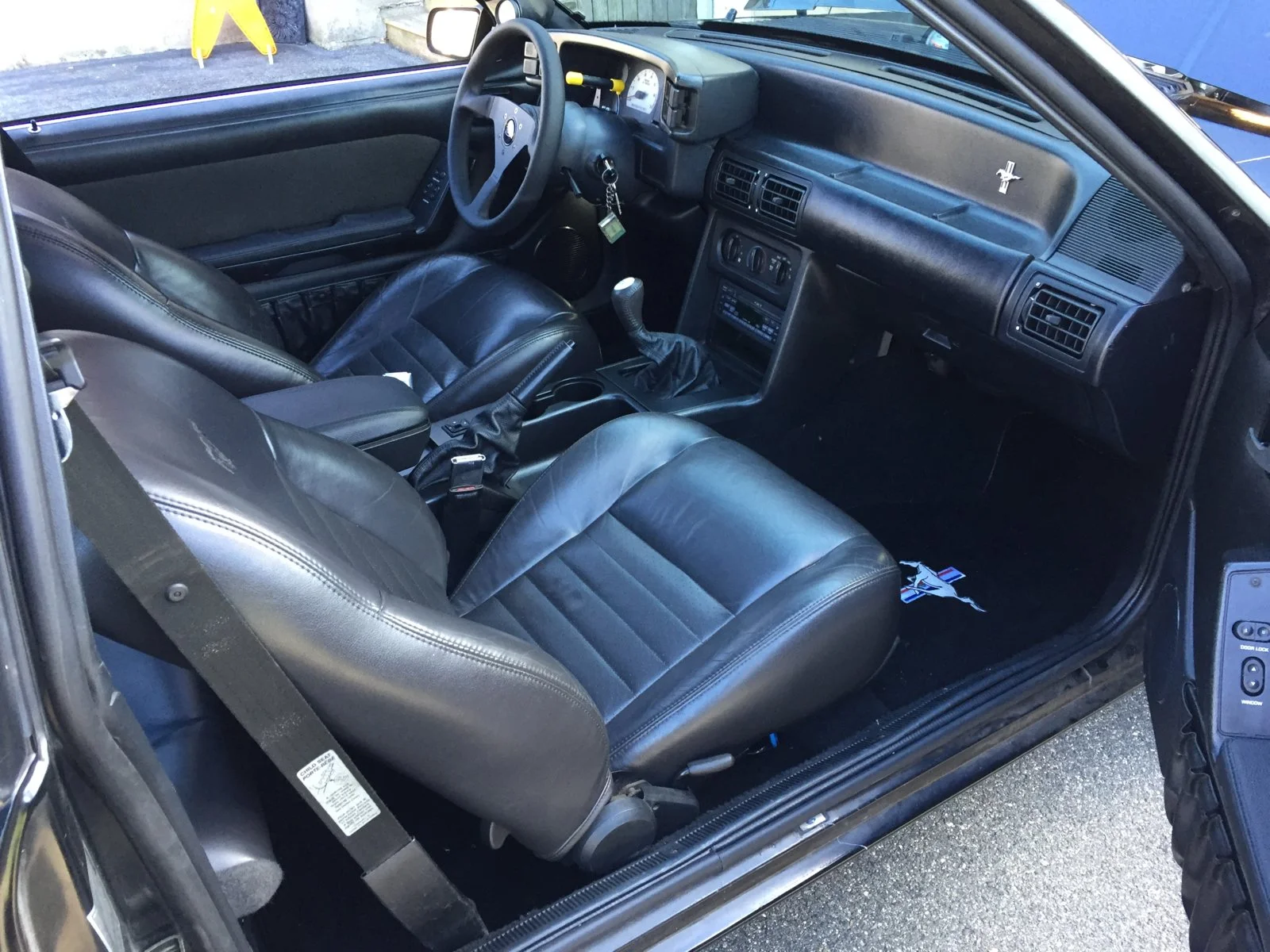 IMG_7702.webp