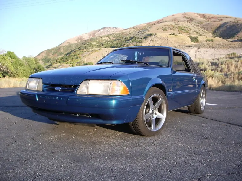 IMGP0001.webp