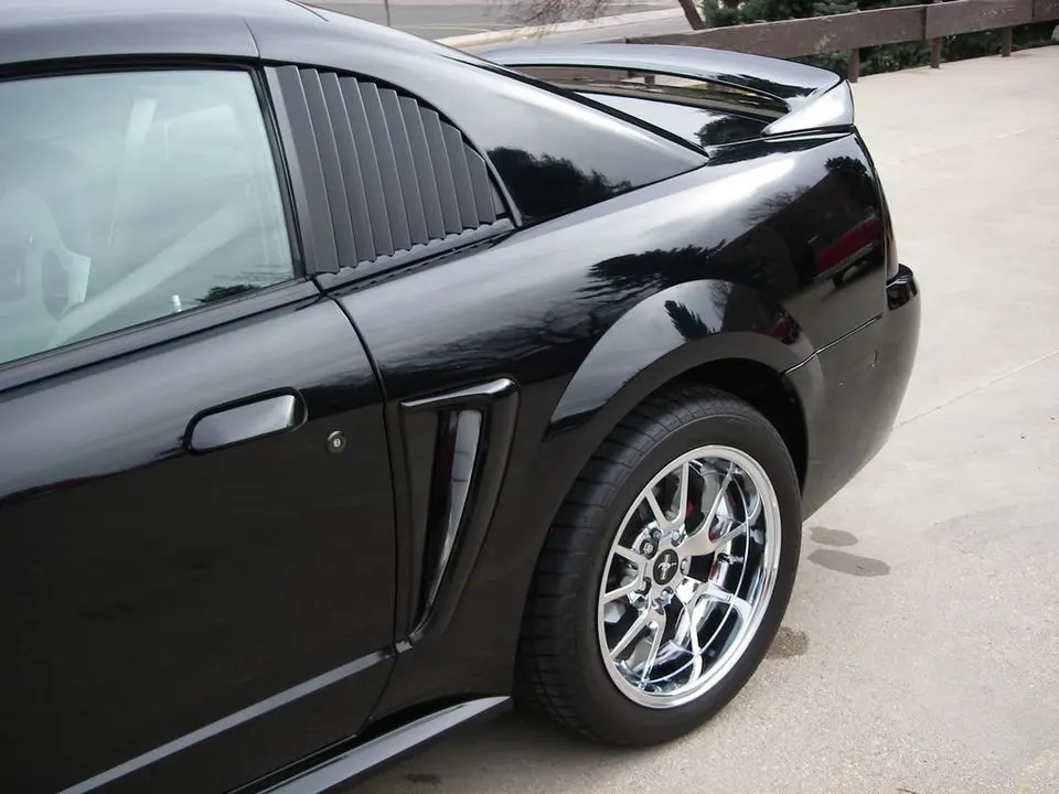 IMGP0010.webp