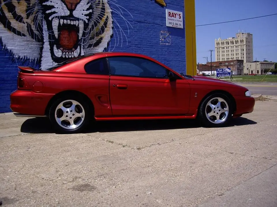 IMGP0037.webp