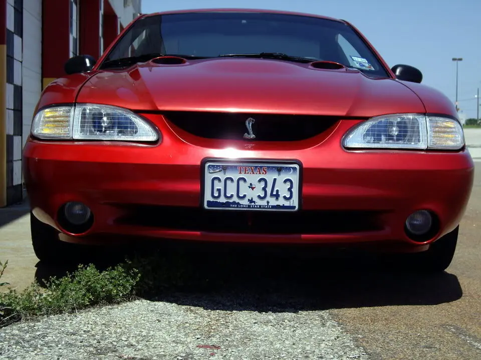 IMGP0045.webp