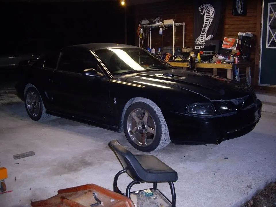 IMGP0052.webp