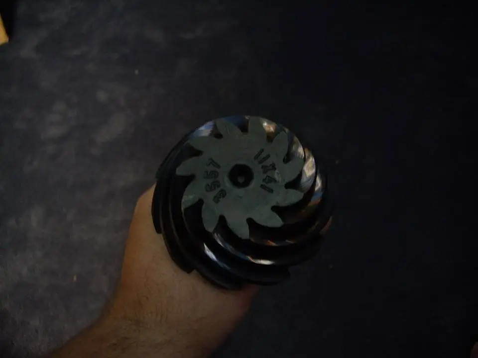 IMGP0168.webp