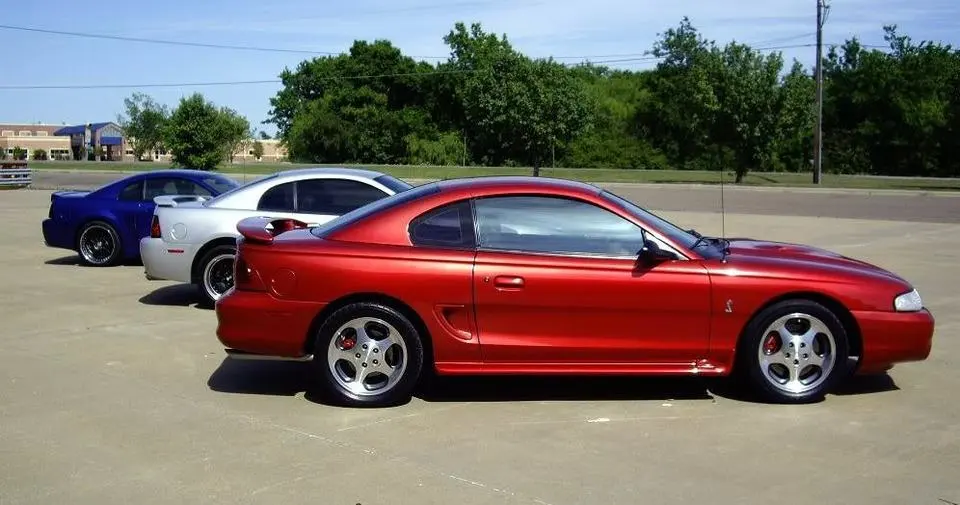 IMGP0175.webp