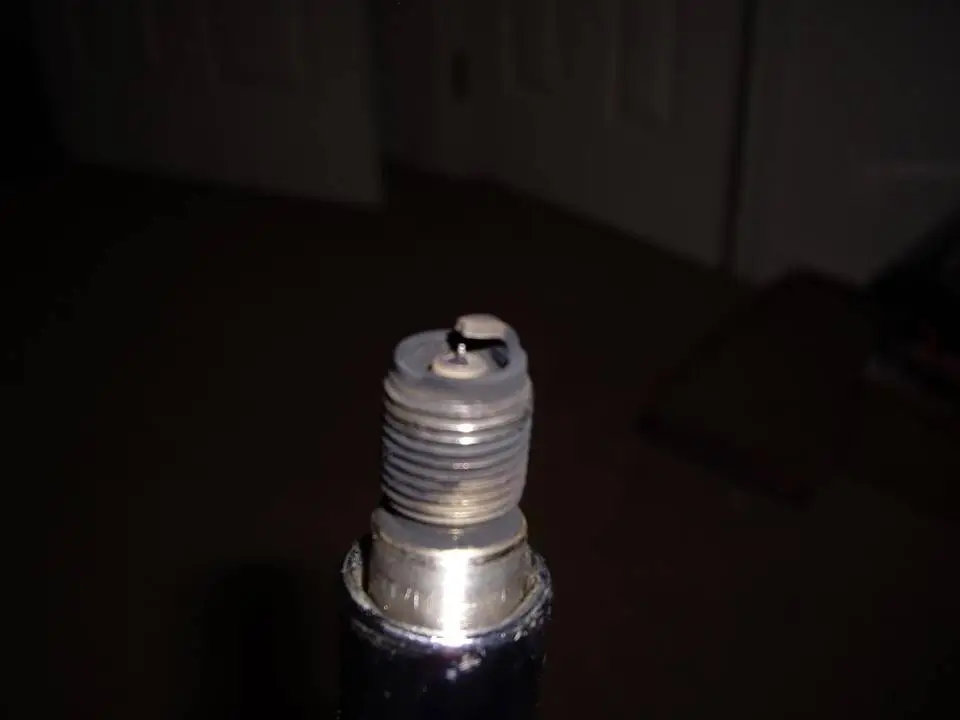 IMGP0600.webp