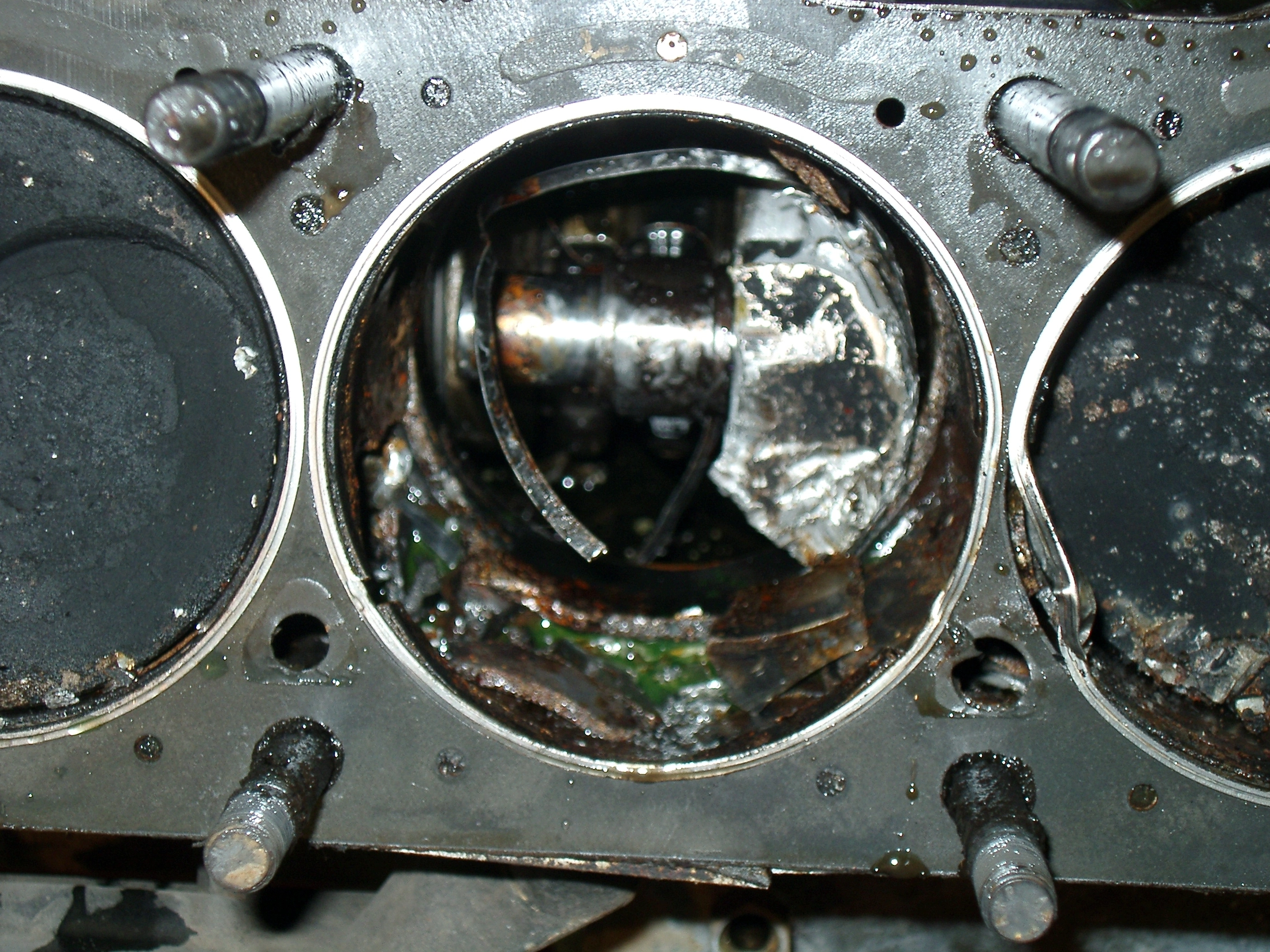 IMGP1099.webp