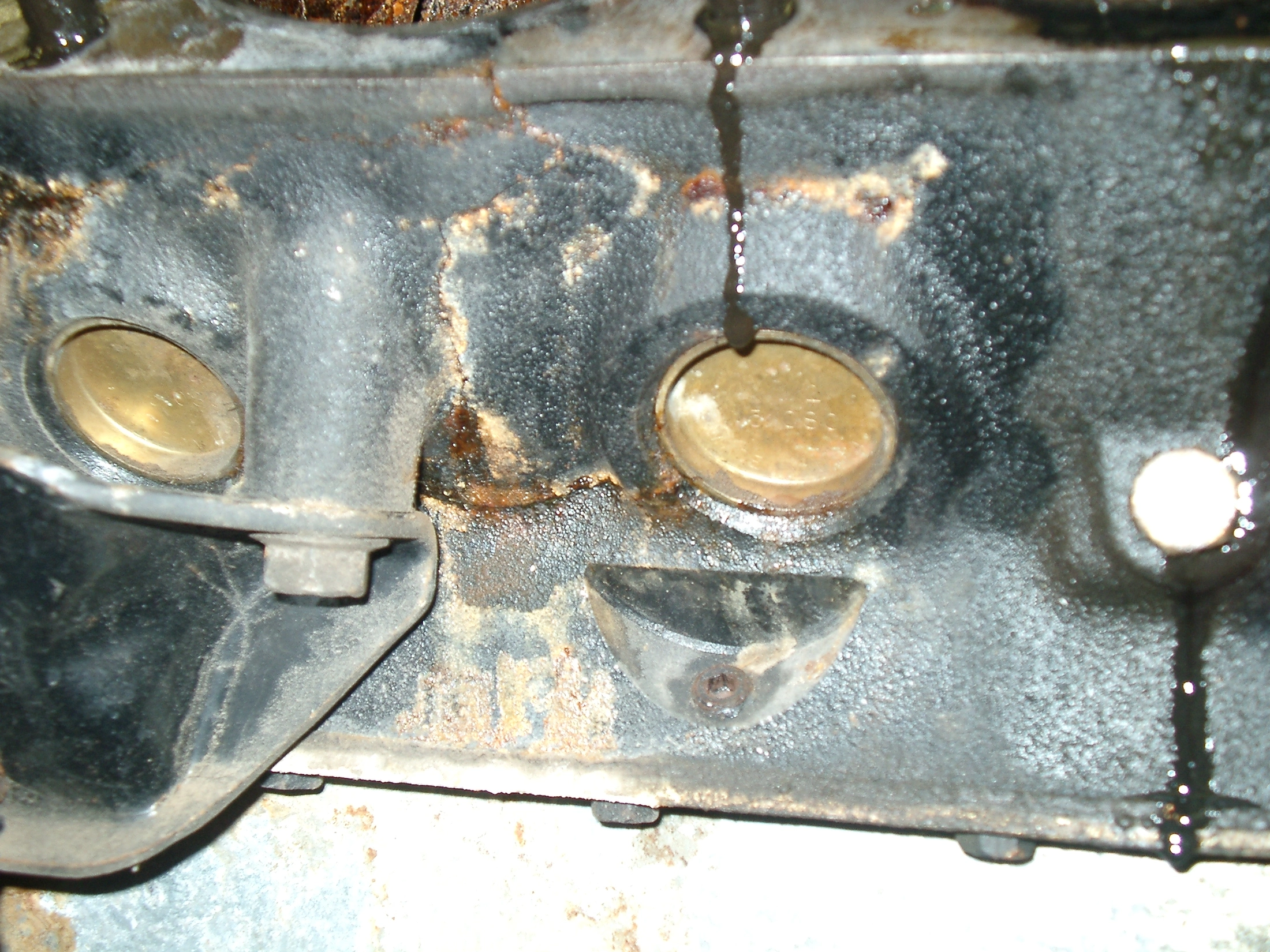 IMGP1101.webp