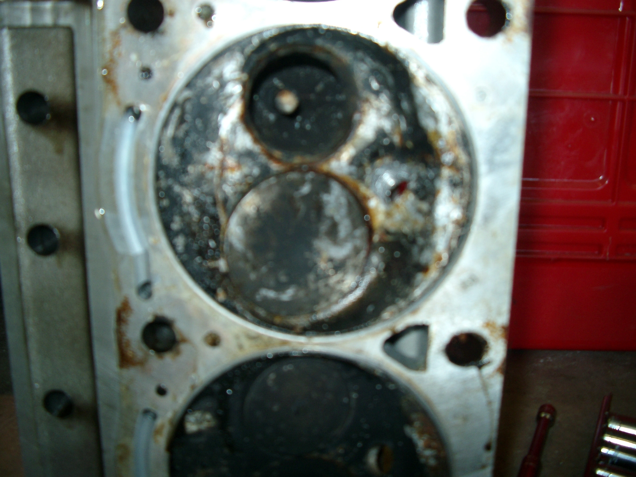 IMGP1102.webp