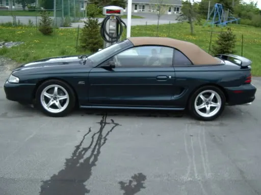 IMGP1160.webp