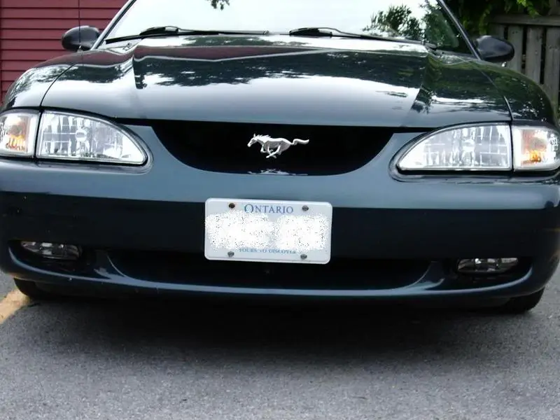 IMGP1199.webp