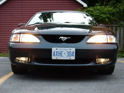 IMGP1201.webp
