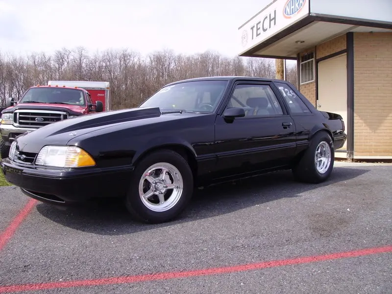IMGP1337.webp