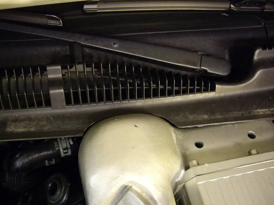 IMGP1419.webp