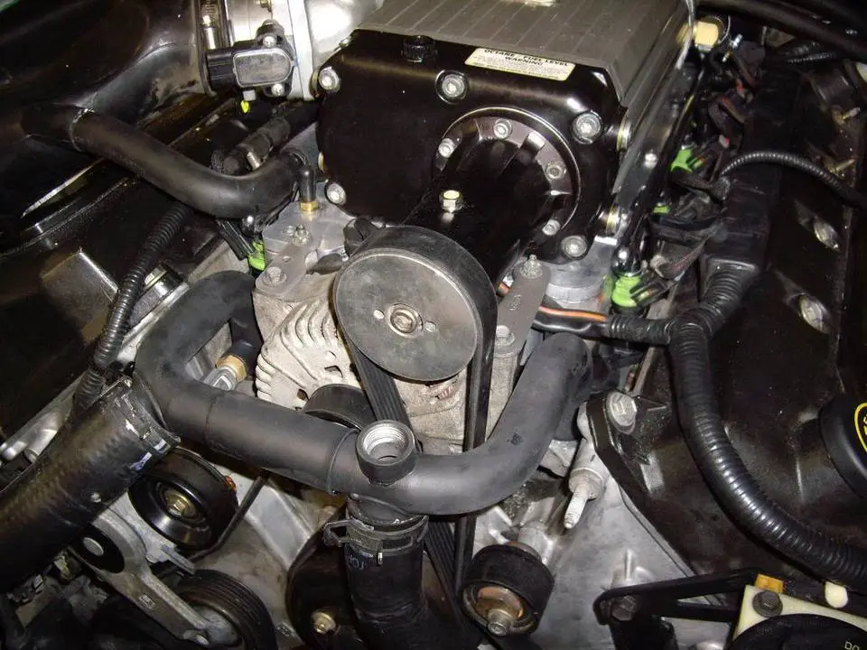 IMGP1450.webp